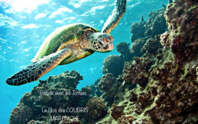 LODGE PAMPLEMOUSSE avec PISCINE privative , dans parc calme à 500 m plage